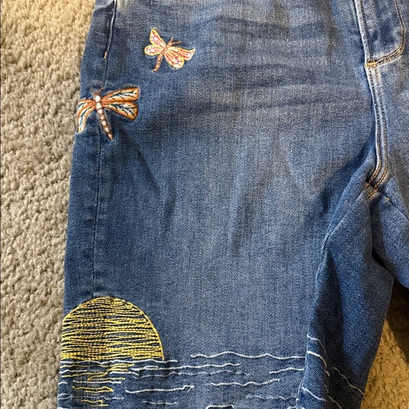 DRIFTWOOD Blue Embroidered Heron & Sunset Jean Shorts Sz 28 - Picture 5 of 10